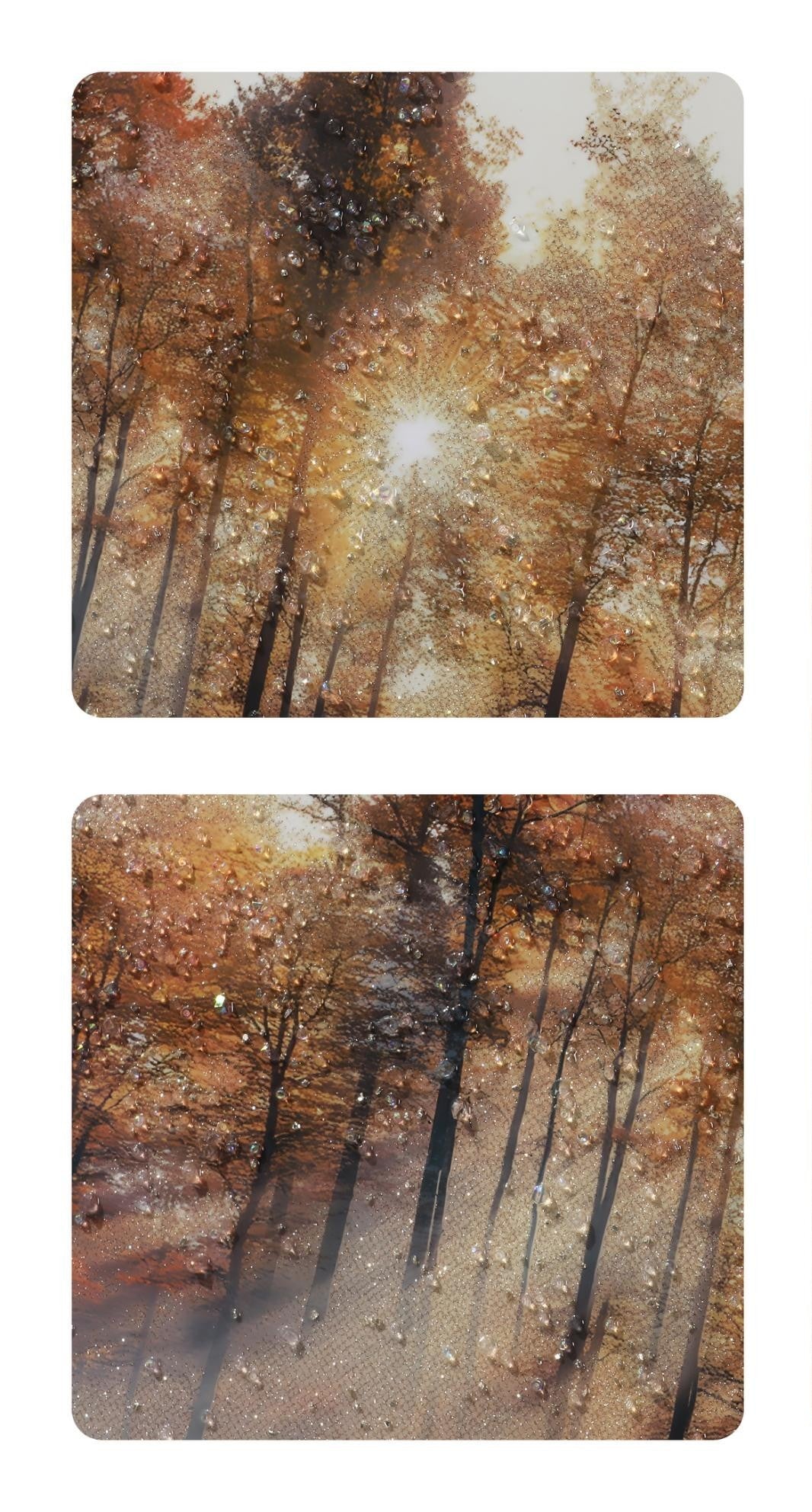 V001360FB48A084BXXX'' jewelled framed Art, Brown Finish (114 × 84 cm) - JassourCo.