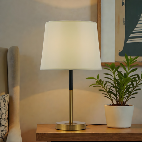 Table lamp with white shade and gold base on a wooden table next to a plant, with a neutral wall and framed picture in the background.