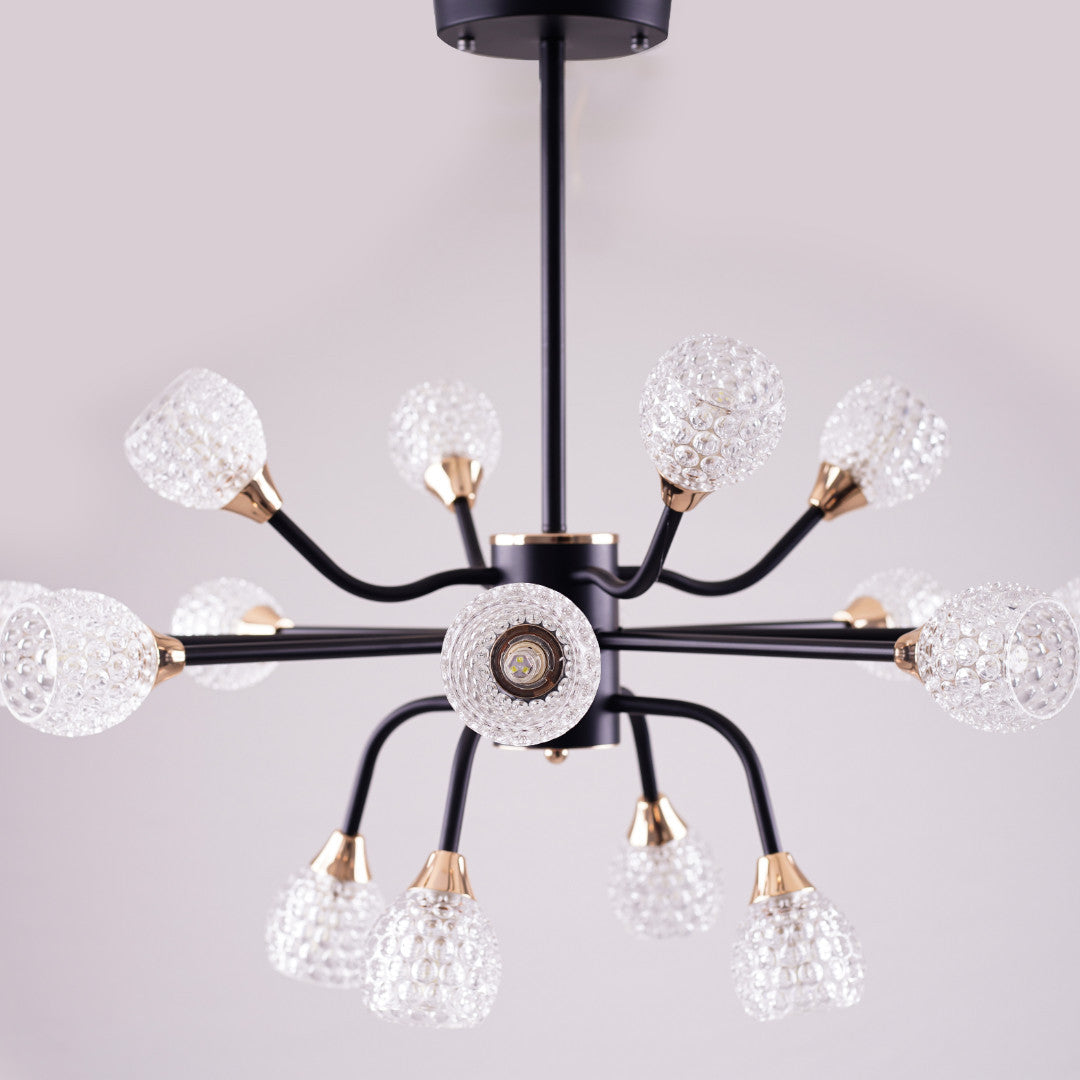 A black chandelier with multiple arms and clear, textured glass globes