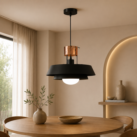 MT1098 1 Light Pendant Fixture, Black Finish - JassourCo.