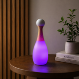 HT-TD1W022 Table  Lamp