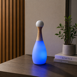 HT-TD1W022 Table  Lamp