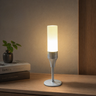 HT-TD1W023B Table Lamp