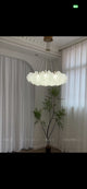 acrylic chandelier 
